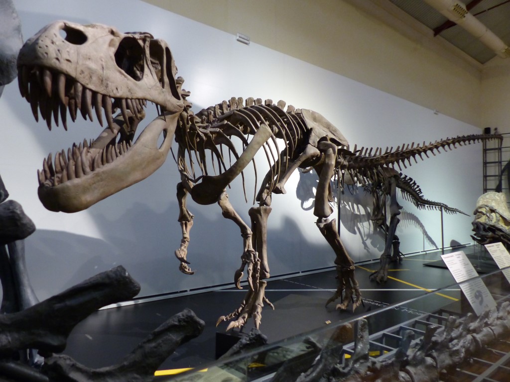 Curso de Dinosaurios